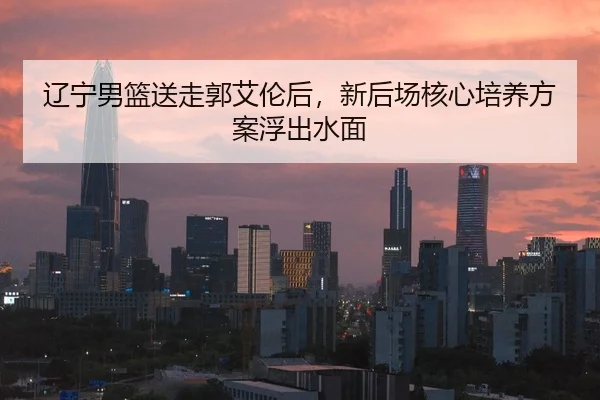 辽宁男篮送走郭艾伦后，新后场核心培养方案浮出水面