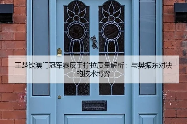 王楚钦澳门冠军赛反手拧拉质量解析：与樊振东对决的技术博弈
