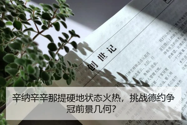 xin-na-xin-xin-na-ti-ying-di-zhuang-tai-huo-re-tiao-zhan-de-yue-zheng-guan-qian-jing-ji-he-2-857.jpg