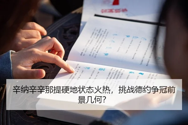 辛纳辛辛那提硬地状态火热，挑战德约争冠前景几何？