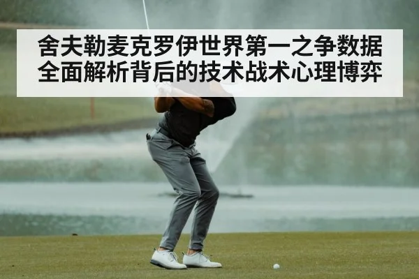 舍夫勒麦克罗伊世界第一之争数据全面解析背后的技术战术心理博弈